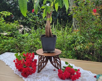 Leaf Plant Stand / Small Riser / Wooden Stand / Indoor Plants / Gift For Her / Crystal Display