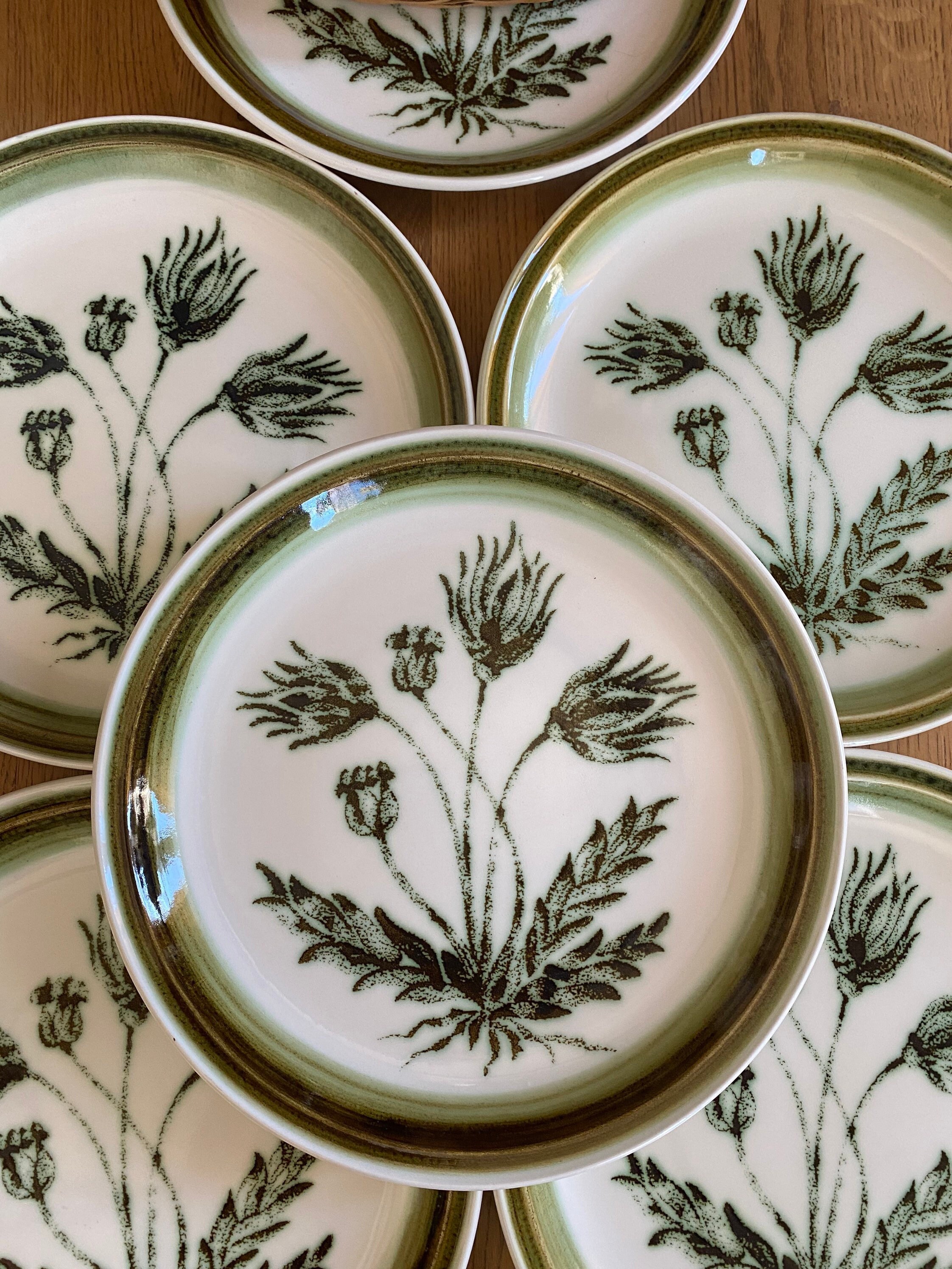 Assiettes Plates Gien France Modèle Herbiers
