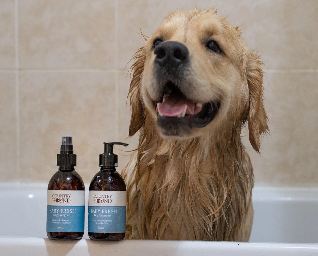 Baby fresh dog shampoo sales