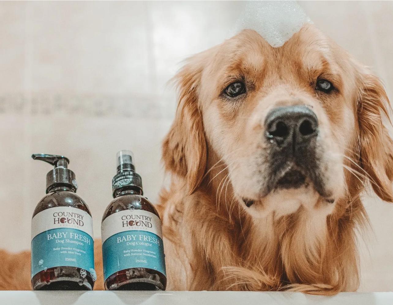 Baby Fresh Dog Shampoo Natural Puppy Shampoo Gentle Pet Grooming Organic Dog Bath Wash Fresh Scent Dogs With Sensitive Skin Etsy Canada