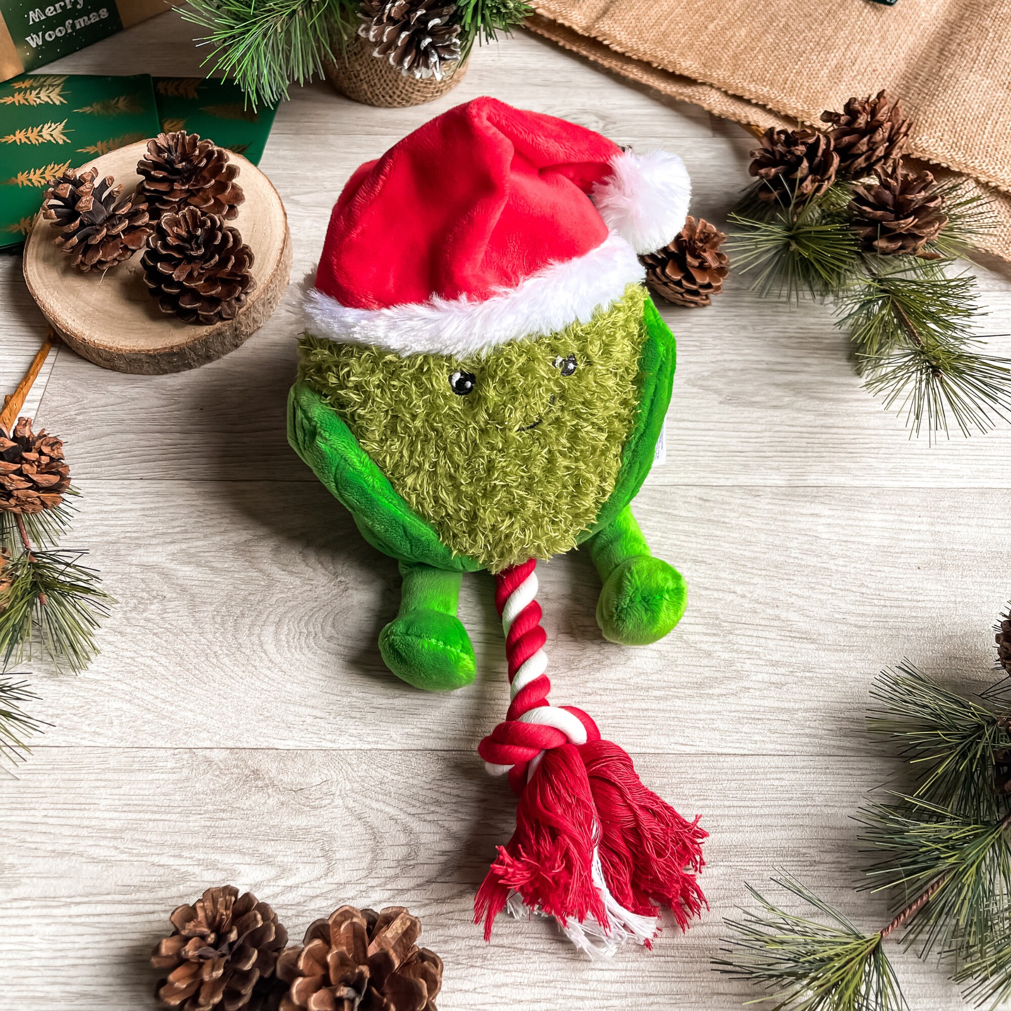Sprout Dog Toy // Festive Sprout Toy, Fun Squeaky Toys, Gifts for