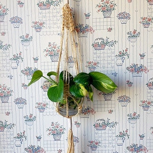 21" - Tan - Single Macrame Plant Hanger