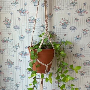 45” - Multi-color - Single Macrame Plant Hanger