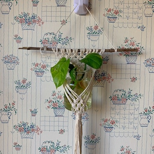 May include: A macrame plant hanger with a natural wood dowel and a green plant in a glass jar. The hanger is hanging from a white hook on a wall with a floral wallpaper pattern.