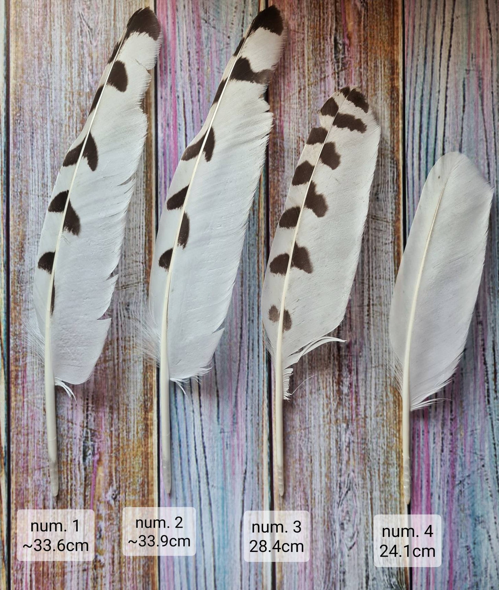Snowy Owl white feathers Moulted feathers for craft dream Etsy