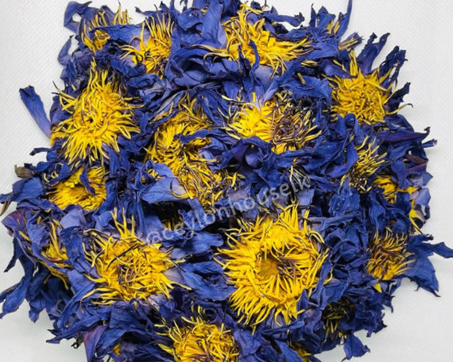 Blue Lotus Flower Dried Bluk Packnymphaea Caeruleasacred Etsy