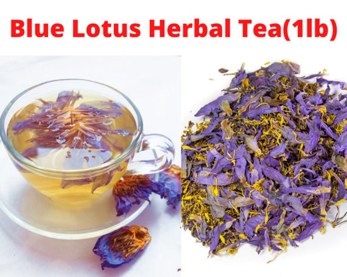 Dried Blue Lotus Flower BulkNymphaea CaeruleaSacred Blue Etsy