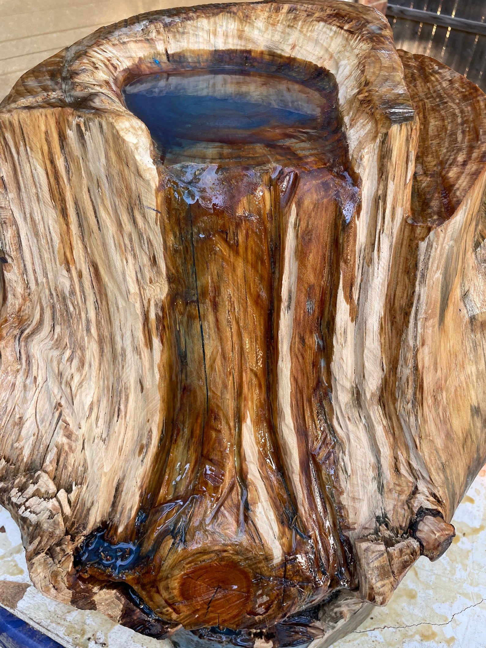 Tree Stump Art Etsy