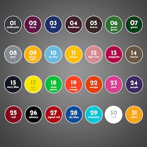 Puede incluir: Una carta de colores con 31 colores diferentes, cada color está representado por un círculo con un número y un nombre. Los colores incluyen antracita, baya, azul, burdeos, marrón, verde hierba, verde, gris, amarillo miel, azul hielo, limón, rosa claro, magenta, moca, azul marino, amarillo neón, verde neón, naranja neón, naranja, rosa, morado, rojo, negro, rojo señal, azul cielo, turquesa, blanco y amarillo.