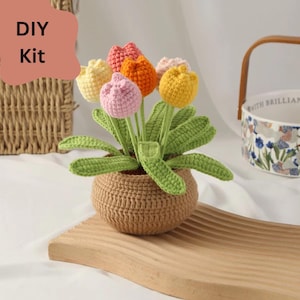 Flower crochet kit, tulip crochet kit Potted Plant crochet project beginner crochet kit amigurumi starter kit DIY craft kit gift for her