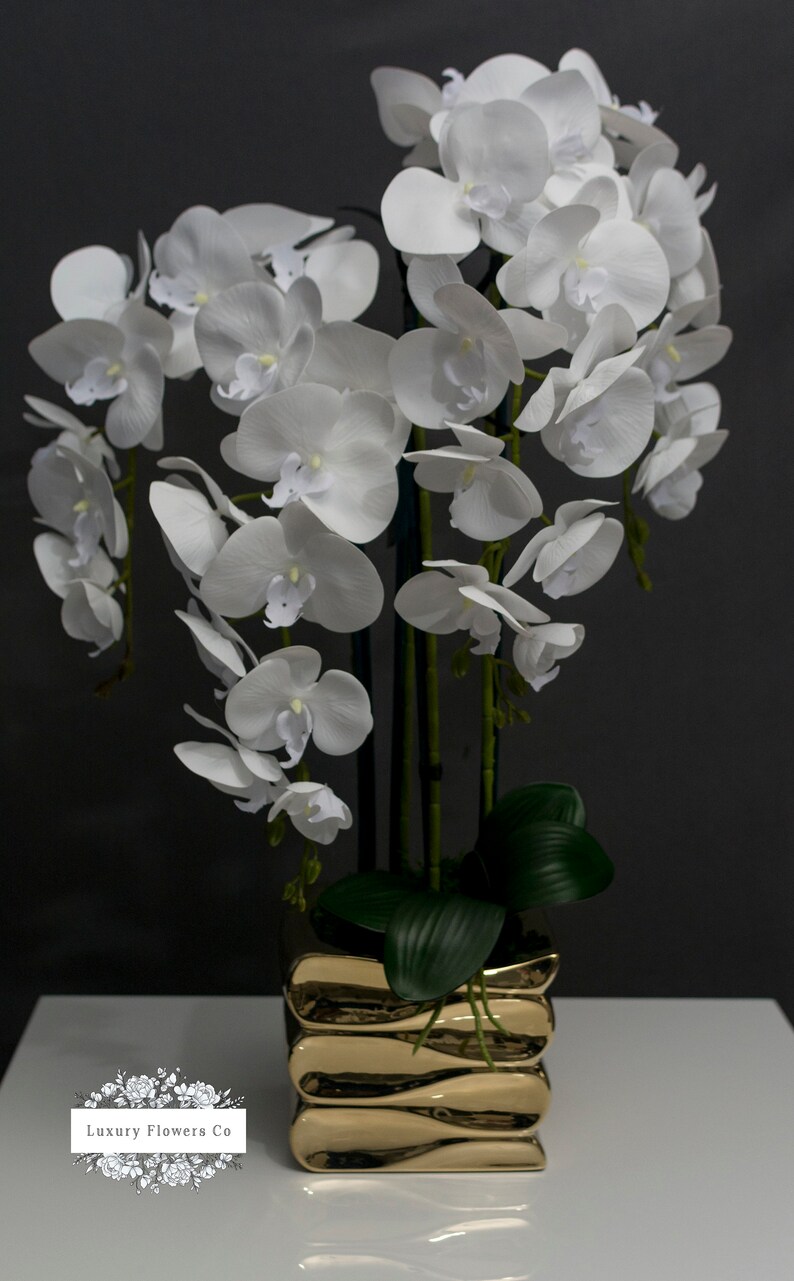 White Orchid in Gold Pot Etsy UK
