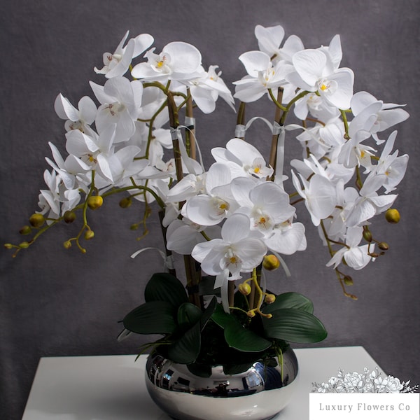 White Orchid in Silver Bowl, Flower arrangement. Silk flowers, plant,ceramic pot, moss, vase, leaves. Xmas present