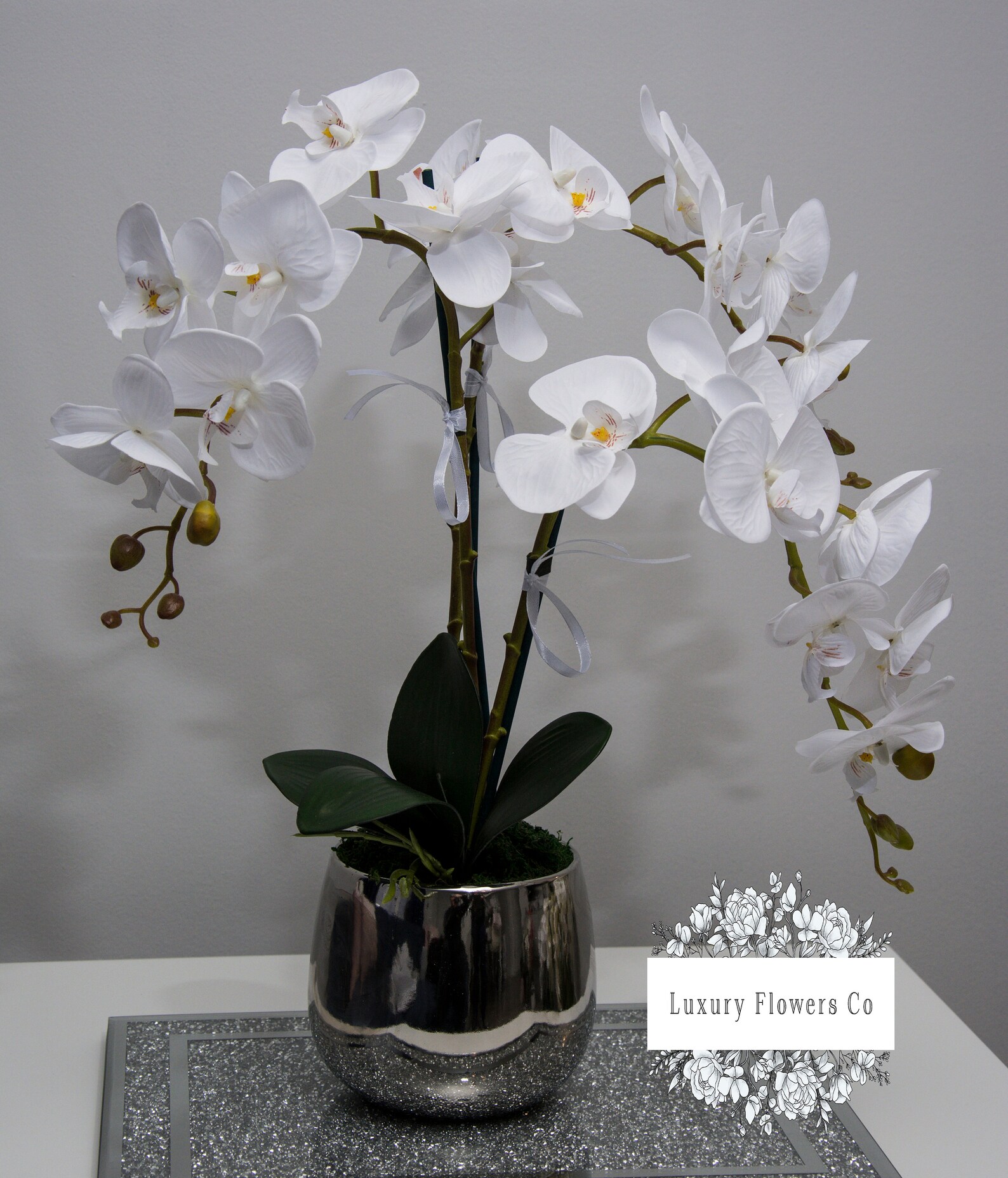White Orchid in Ceramic Pot Etsy