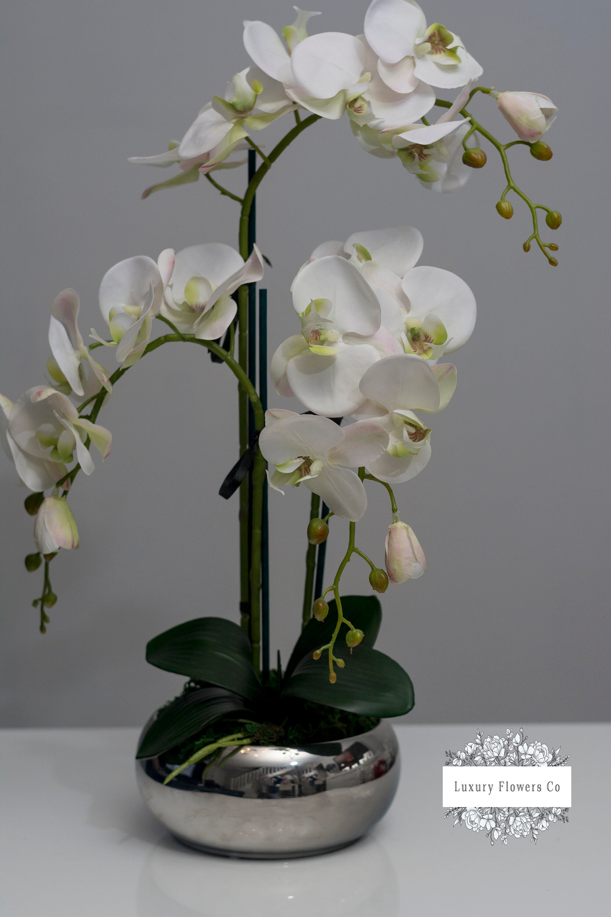 3 Stem Orchid in a Silver Pot Etsy