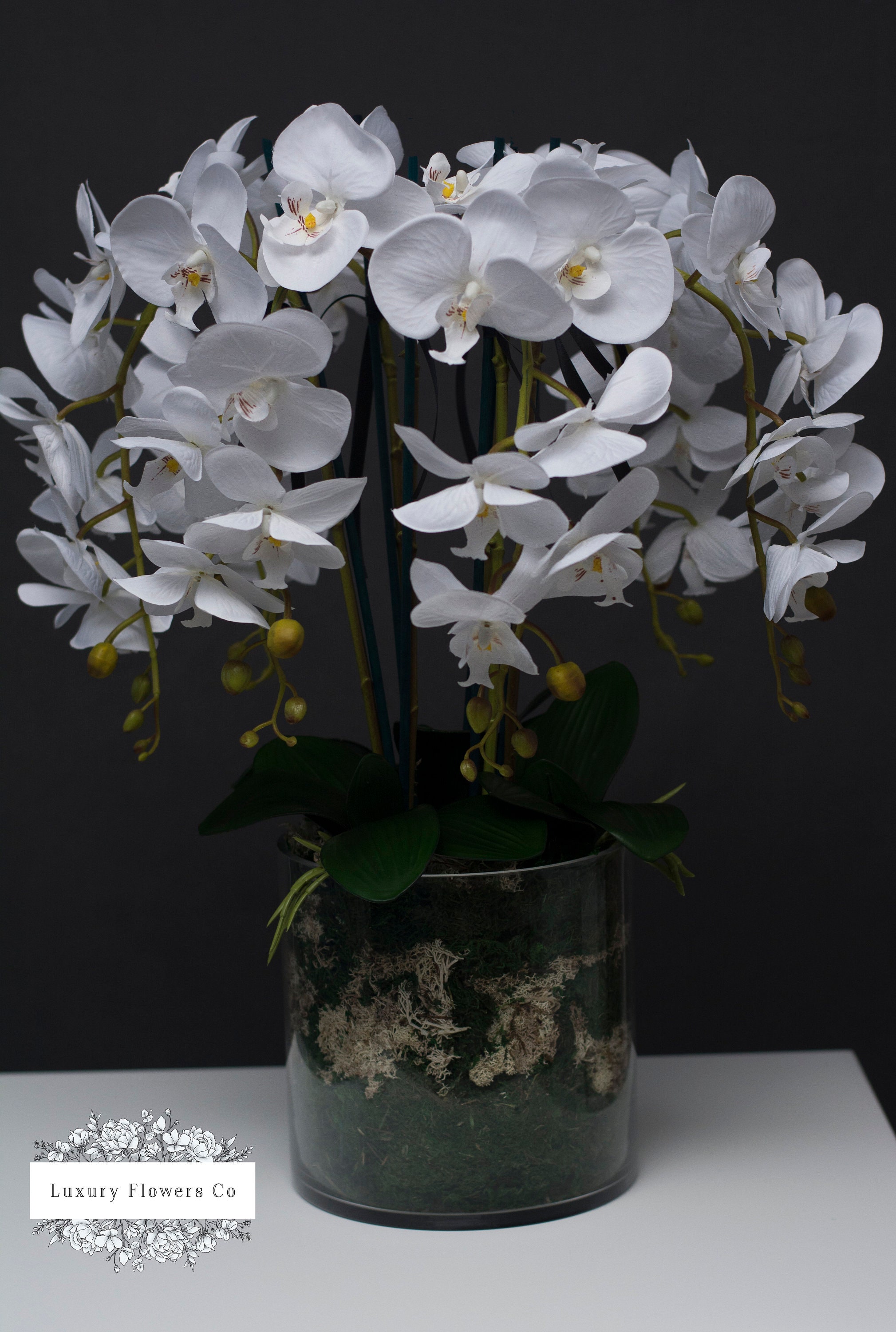 Elegant White Orchid in Glass Cylinder Vase Etsy