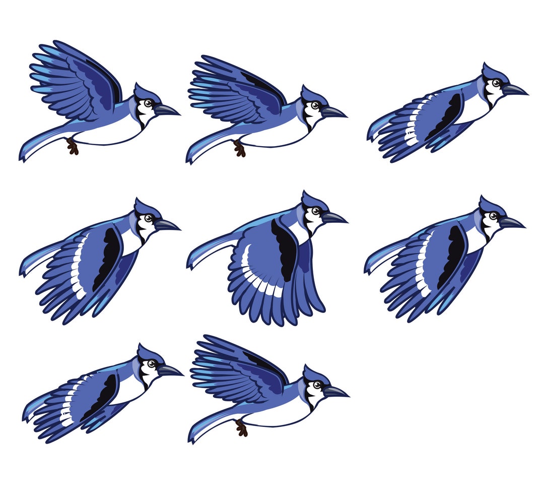 廃盤　新品　ジェリーキャット　アオカケス　鳥　野鳥　ブルージェイ　バード sddefault.jpg