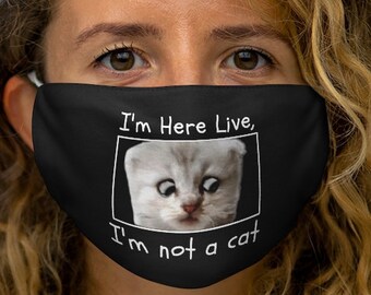 Im Not A Cat Meme Etsy