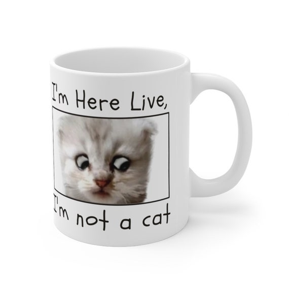 I'm Here Live I'm Not a Cat Zoom Meme Humor Coffee Mug Best Gift Cool Tea Cup 
