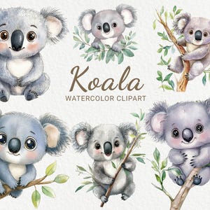 Koala barnrum akvarell Clipart - 24 PNG söt koala, djurdekor, babyshower, babyfest, DIY, omedelbar digital nedladdning