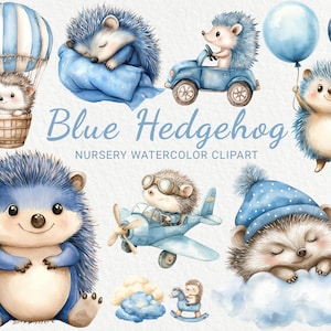 Blauwe egel aquarel clipart - 24 png kwekerij schattige sprookjes bosdieren, babyshower decor, babyfeestje, instant digitale download