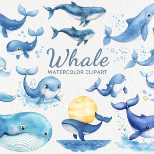 Clipart wieloryba - 24 PNG Uroczy morski wystrój clipart Akwarela dla dzieci, wieloryby do druku, Baby Shower, Baby Party, Oceaniczny, Pobieranie cyfrowe
