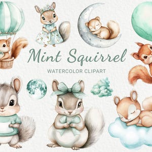 Clipart aquarelle écureuil vert - 24 PNG, chambre de bébé, décoration animal des bois en couleur menthe, baby shower, imprimables fête de bébé, téléchargement numérique
