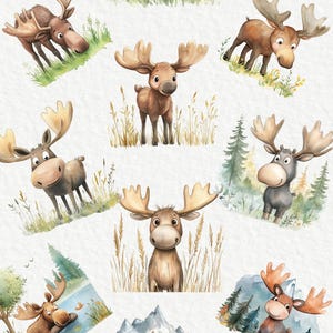 Moose Clipart - 24 PNG Watercolor Baby Moose Clip Art, Funny Moose ...