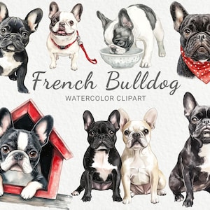 Französische Bulldogge Aquarell Clipart - 24 PNG Süßer Hund Clip Art, Hunderassen Clip Art, Hund druckbare Kunst, Geschenke für Hundebesitzer, digitaler Download