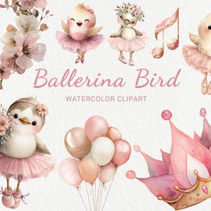 Ballerina Bird Pink Watercolor Clipart - 24 PNG Nursery Rose Birds Graphics, Baby Shower Decor, Baby Party, Sublimation, Digital Download