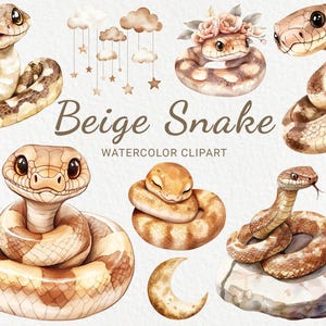 Clipart de aquarela de berçário de cobra - 24 PNG Cobra fofa em bege e marrom, decoração de animais, chá de bebê, festa de bebê, download digital instantâneo