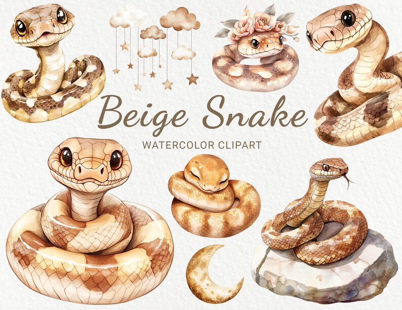 Snake Nursery Watercolor Clipart - 24 PNG Cute Snake in Beige & Brown ...