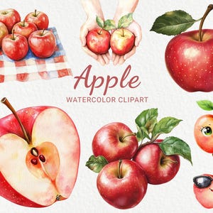 Clipart aquarelle pomme - 24 Images PNG drôles de pommes, fruits frais, fruits Chibi, nourriture mignonne, clipart pomme Kawaii, téléchargement numérique
