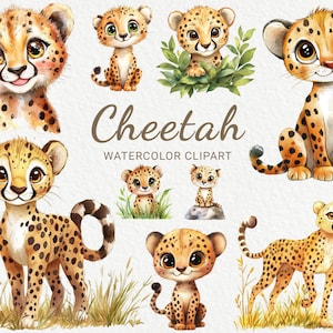 Clipart guépard - 24 PNG aquarelle bébé guépard clipart, animaux de safari drôles, décoration de baby shower, décoration de chambre d'enfant, téléchargement numérique instantané