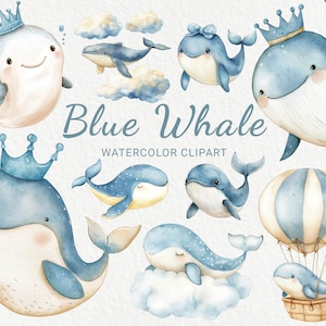Clipart acquerello vivaio balena blu - 24 PNG Clip art carino arredamento marino, baby shower, festa per bambini, oceanico, download digitale istantaneo
