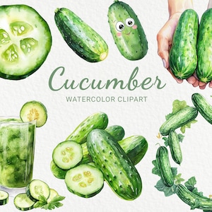 Cucumber Watercolor Clipart - 24 PNG Funny Cucumber Illustration, Cool Chibi Vegetables, Kawaii Food, Digital Download, Commercial use