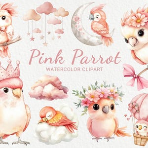Clipart acquerello per vivaio di pappagalli rosa - 24 PNG Pappagallo carino, decorazioni per uccelli, baby shower, festa per bambini, fai da te, arte murale, download digitale istantaneo