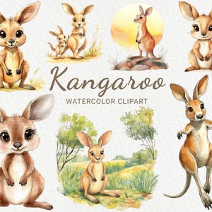 Känguru Clipart - 24 PNG Aquarell Baby Känguru Clip Art, Tiere Zimmer Dekor, Baby-Dusche, Kinderzimmer Dekor, sofortiger digitaler Download