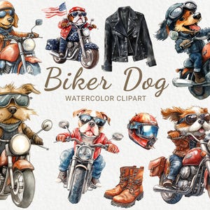 バイカー犬のクリップアート - 24 PNG 水彩画のバイクに乗った犬のクリップアート、クールな犬のイラスト、犬のアート、クールな動物のグラフィック、インスタントデジタルダウンロード
