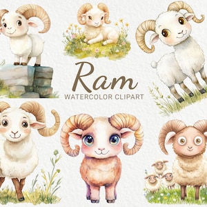 Op de afbeelding: Waterverf illustraties van schattige cartoon rammen met gekrulde hoorns. De rammen staan in verschillende poses, sommige op rotsen, sommige in het gras en sommige met andere rammen. De illustraties zijn in een grillige stijl en perfect om een ​​toetsje schattigheid aan elk project toe te voegen.