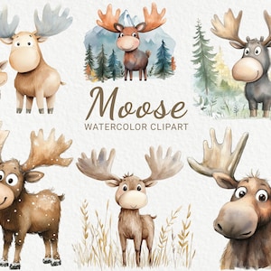 Imágenes prediseñadas de alce: 24 imágenes prediseñadas PNG de alce bebé en acuarela, alce divertido, animales del bosque, baby shower, decoración de guardería, descarga digital instantánea