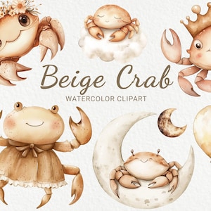 Clipart de aquarela de berçário de caranguejo - 24 PNG Caranguejo fofo em bege e marrom, decoração náutica, chá de bebê, festa de bebê, caranguejo pequeno, download digital