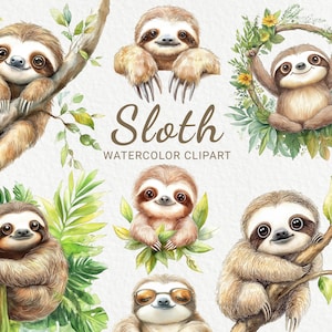 Sloth Clipart - 24 PNG Watercolor Baby Sloth clip art, Funny Tropics Safari Animals, Baby Shower decor, Nursery decor, Digital Download