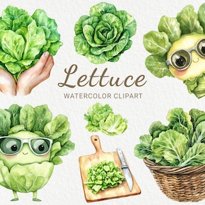 Clipart de aquarela de alface - 24 PNG Ilustração engraçada de alface, Legumes Chibi legais, Comida Kawaii, Download digital, Uso comercial