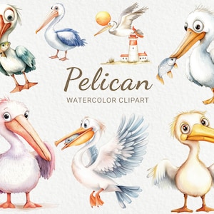 Pelikan Aquarell Clipart - 24 PNG Pelikan ClipArt, druckbare Meervögel, Scrapbooking, digitales Junk Journal, sofortiger digitaler Download