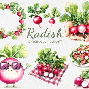 Rabanete aquarela clipart - 24 PNG ilustração engraçada de rabanete, vegetais chibi legais, comida kawaii, download digital, uso comercial