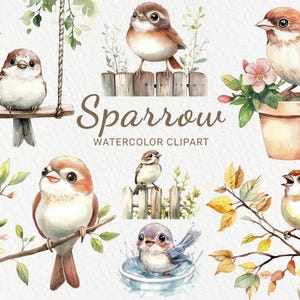 Spatz Aquarell Clipart - 24 PNG Spatz ClipArt, niedlicher Vogel zum Ausdrucken, Scrapbooking, digitales Junk Journal, sofortiger digitaler Download