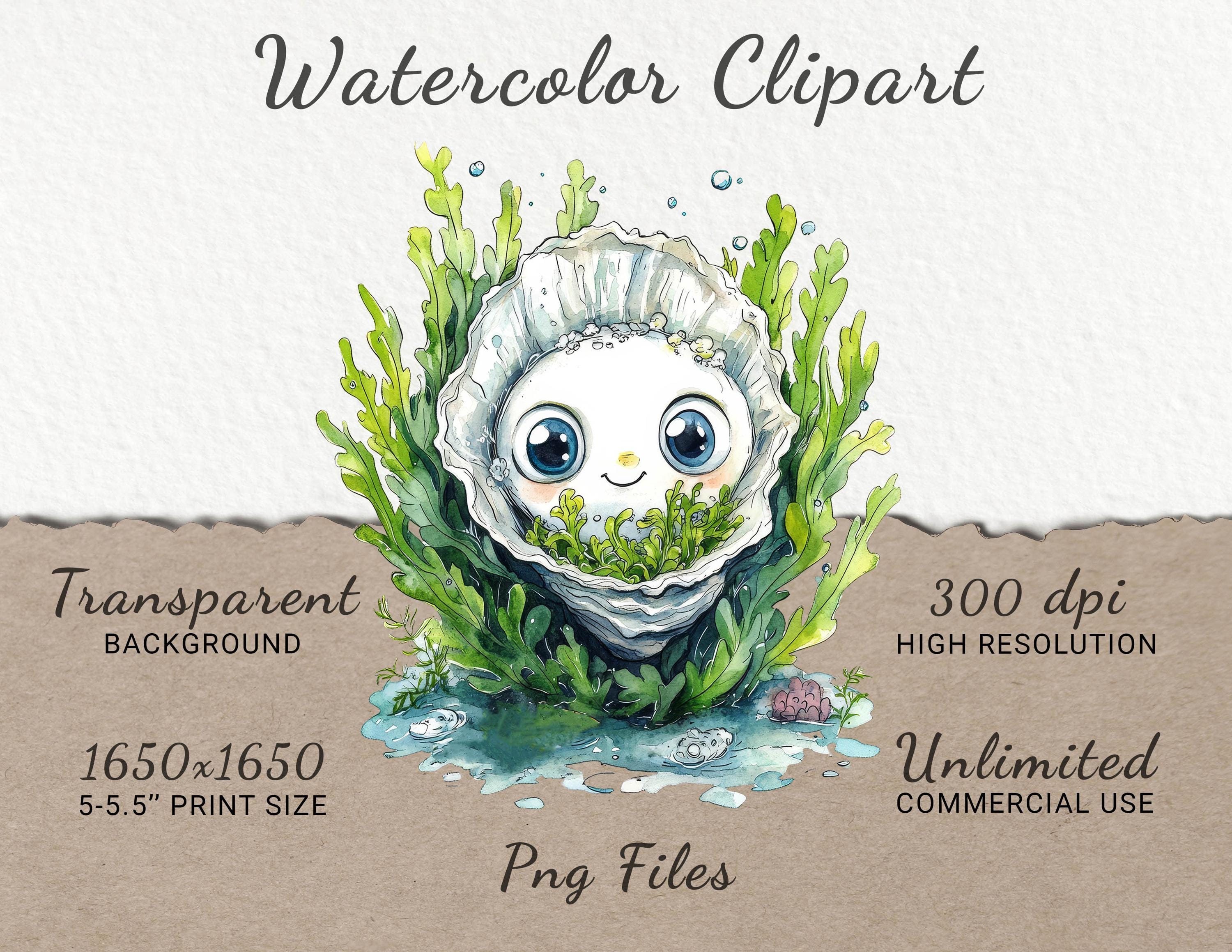 Oyster Watercolor Clipart - 24 PNG Cute Oyster Clip Art, Marine Theme ...
