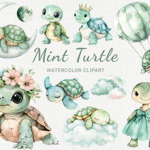 Grüne Schildkröte Kinderzimmer Aquarell Clipart - 24 PNG Niedliche Schildkröte in Minzfarbe, Baby-Dusche-Dekor, Baby-Party, kleine Schildkröte, digitaler Download