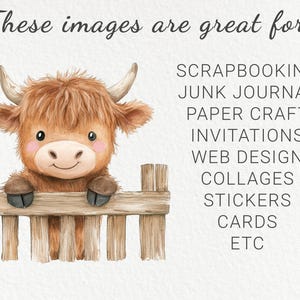 May include: A watercolor illustration of a brown Highland cow with a white face peeking over a wooden fence. The text "These images are great for: Scrapbooking, Junk Journal, Paper Craft, Invitations, Web Design, Collages, Stickers, Cards, ETC" is written in black text on a white background.