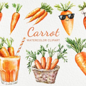 Karotte Aquarell Clipart - 24 PNG Lustige Karotte, Veg Illustration, cooles Chibi Gemüse, Kawaii Essen, digitaler Download, kommerzielle Nutzung